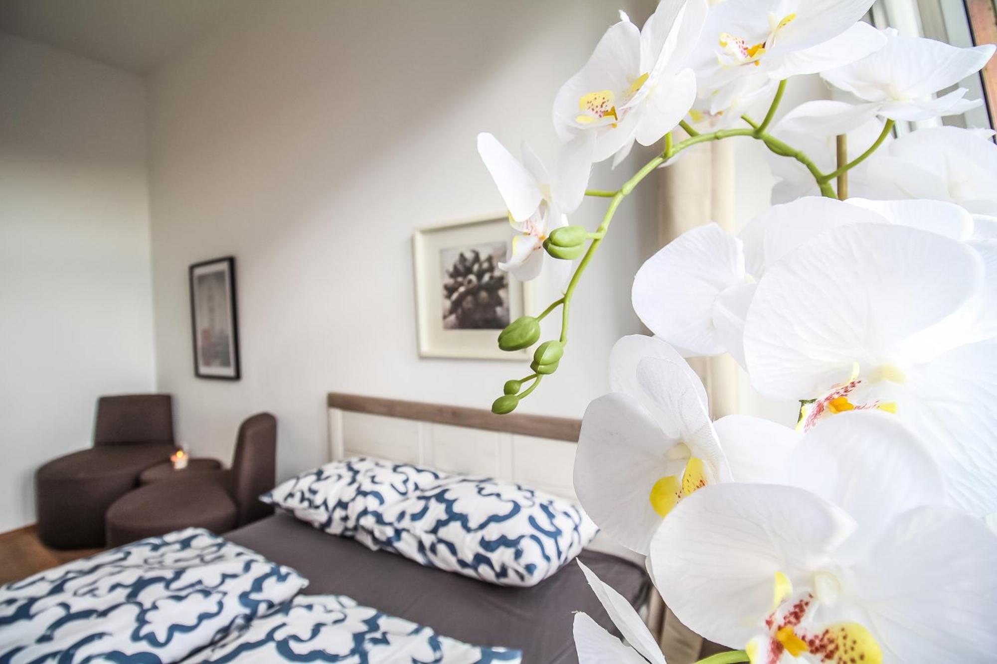 Disc Cozy Rooms In Liesing Βιέννη Εξωτερικό φωτογραφία